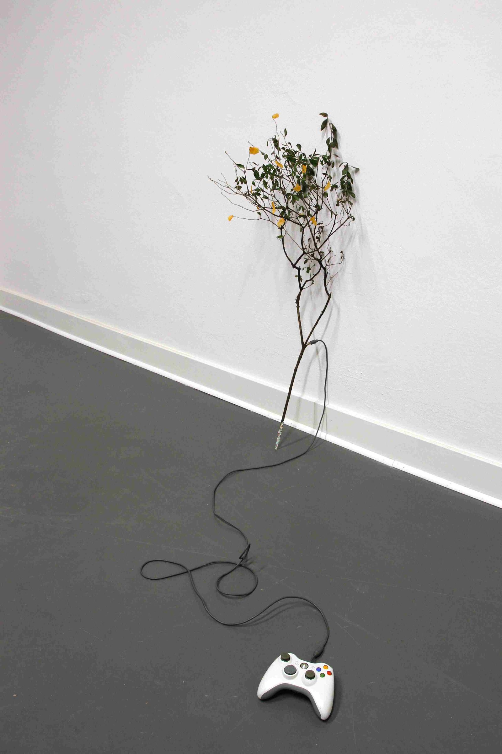 Artist in Residence — Crossmodal Research Laboratory, Oxford
